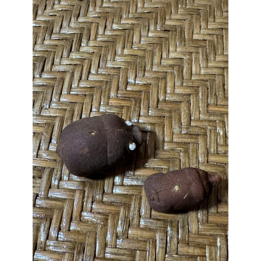 Vintage Clay Pig Figurines Set Of 2 - Handcrafted Rustic Miniature Sculptures - Picture 5 of 7